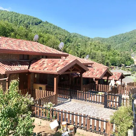 Palaghiaccio 3*