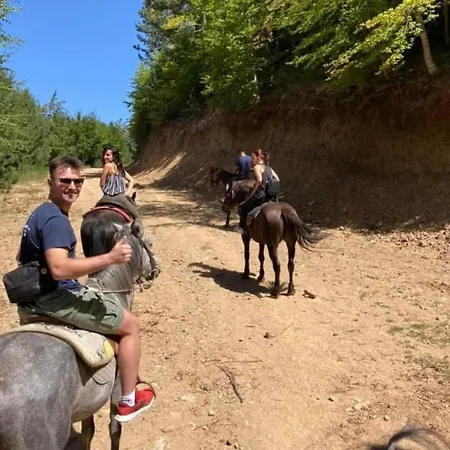 Palaghiaccio 호텔 3*