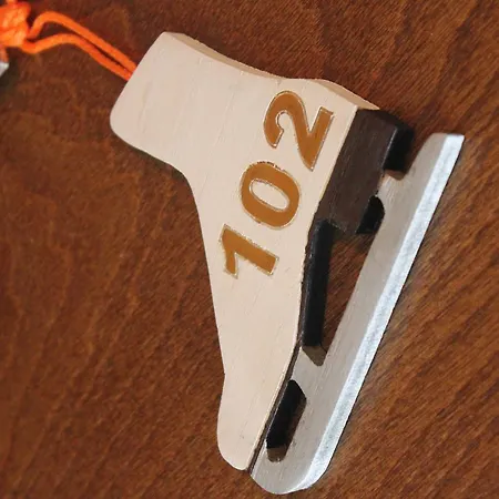 Palaghiaccio 호텔 코트로네이