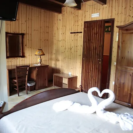 Palaghiaccio 코트로네이