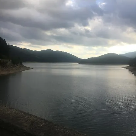 호텔 Palaghiaccio 3*