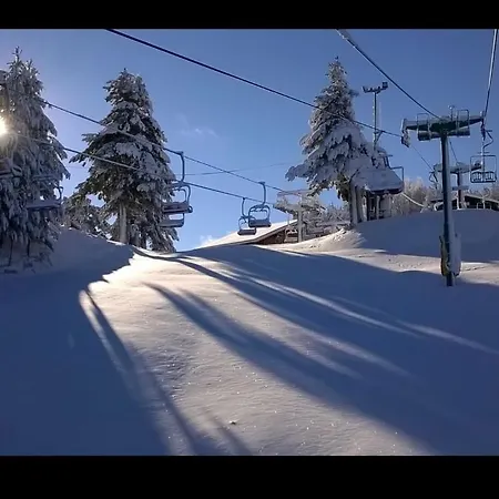 Palaghiaccio 코트로네이