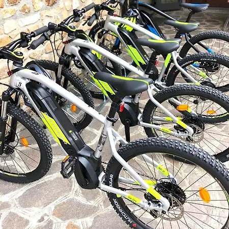 Palaghiaccio 코트로네이