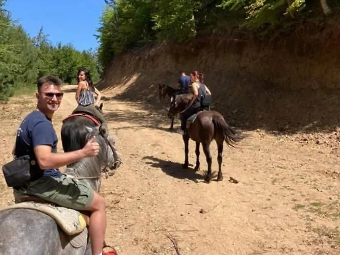 帕拉格切诺酒店 酒店 3*