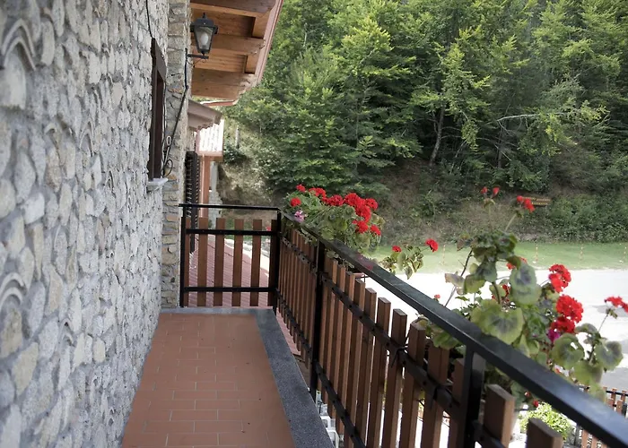 酒店 帕拉格切诺酒店